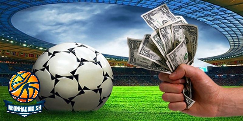 Máy tính dự đoán bóng đá chính xác